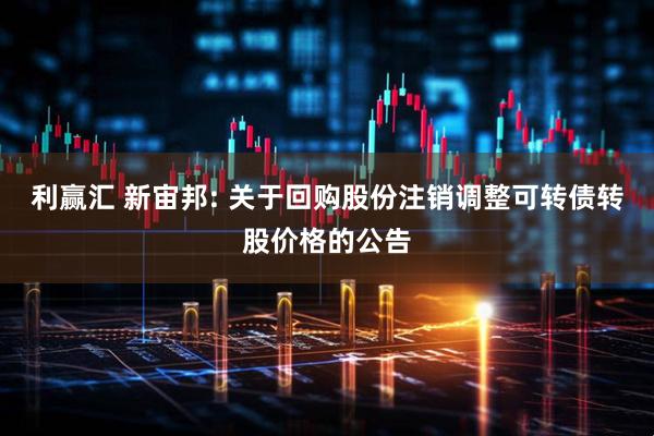 利赢汇 新宙邦: 关于回购股份注销调整可转债转股价格的公告