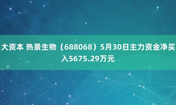 大资本 热景生物（688068）5月30日主力资金净买入5675.29万元