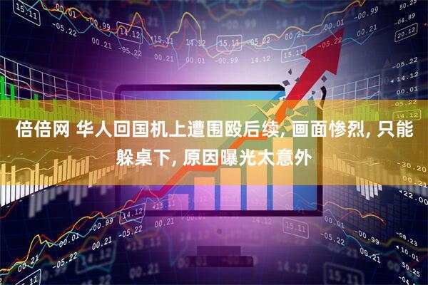 倍倍网 华人回国机上遭围殴后续, 画面惨烈, 只能躲桌下, 原因曝光太意外