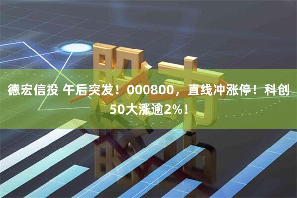 德宏信投 午后突发！000800，直线冲涨停！科创50大涨逾2%！