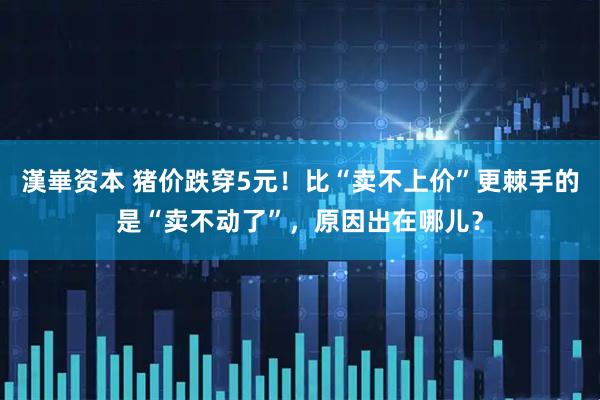 漢崋资本 猪价跌穿5元!比“卖不上价”更棘手的是“卖不动了”,原因出在哪儿?